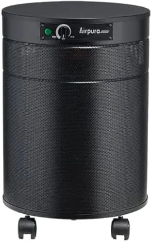 air purifier clean air 1