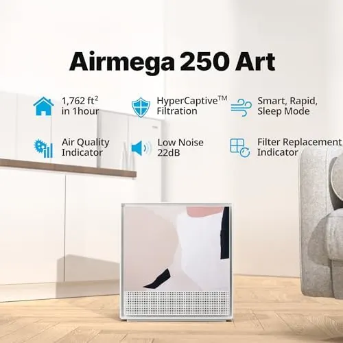airmega smart air purifier 2