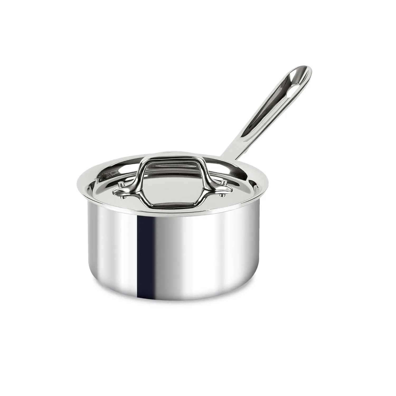 all clad stainless sauce 1