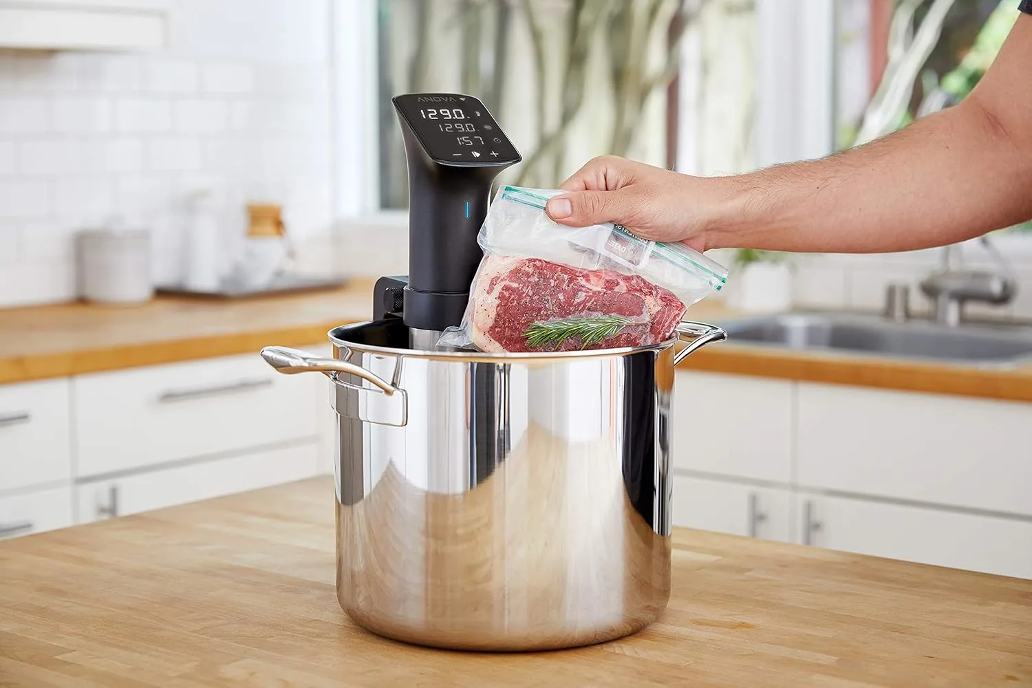 anova sous vide cooker 2