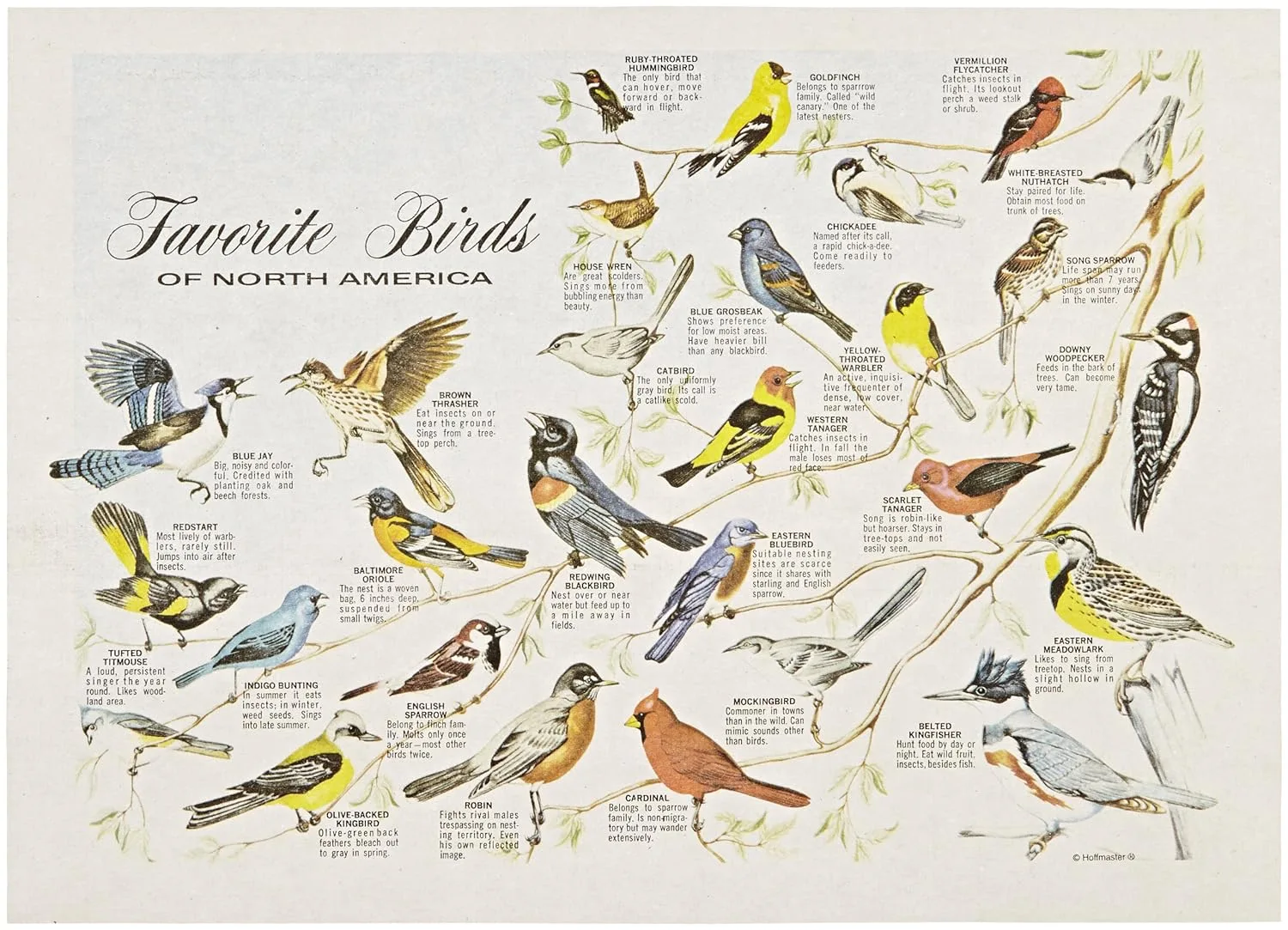 birds placemat recycled paper 1
