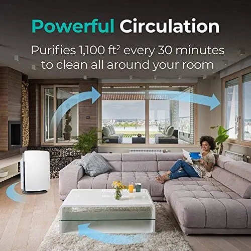 breathesmart odor filter hepa air purifier 2