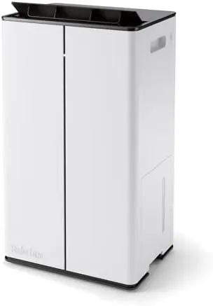 dehumidifier air purifier wifi hepa 1