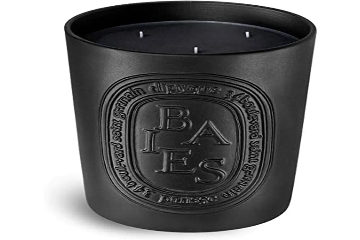 diptyque baies berries candle 1