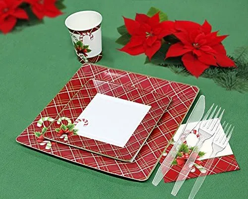 Disposable Dinnerware Set for 40 Guests