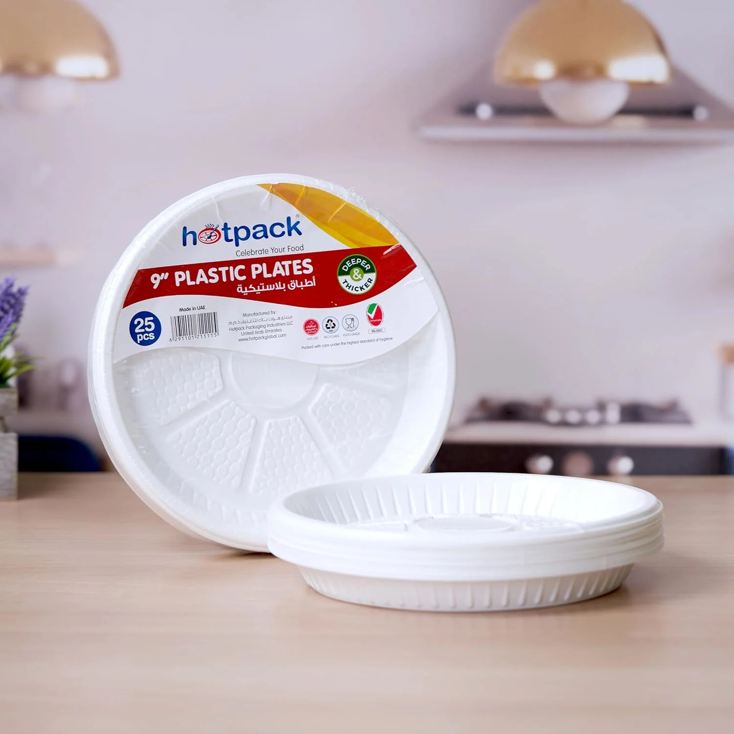 disposable plates 9 inch 2