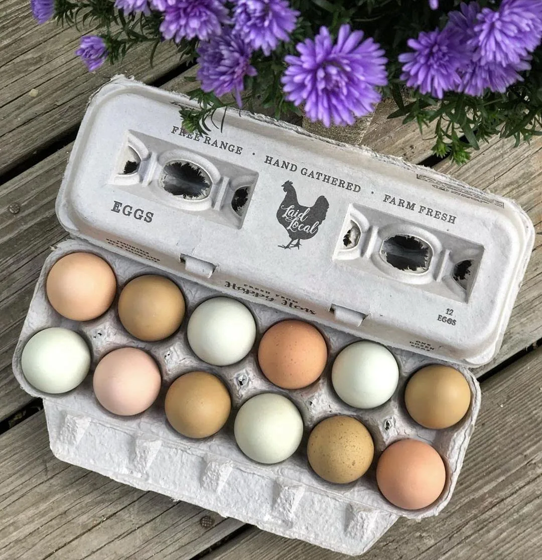 egg cartons farm fresh 2