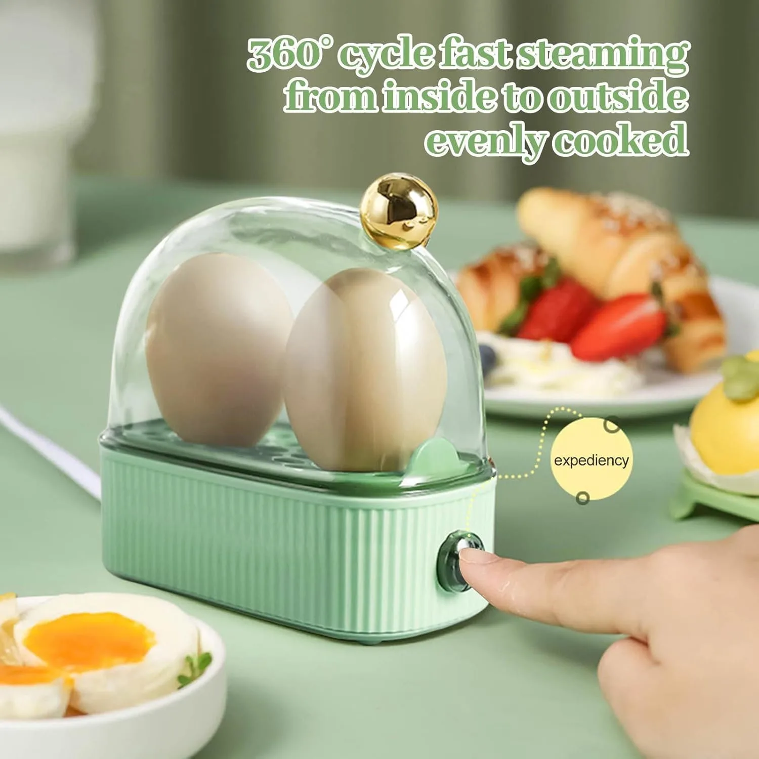 electric egg cooker 2