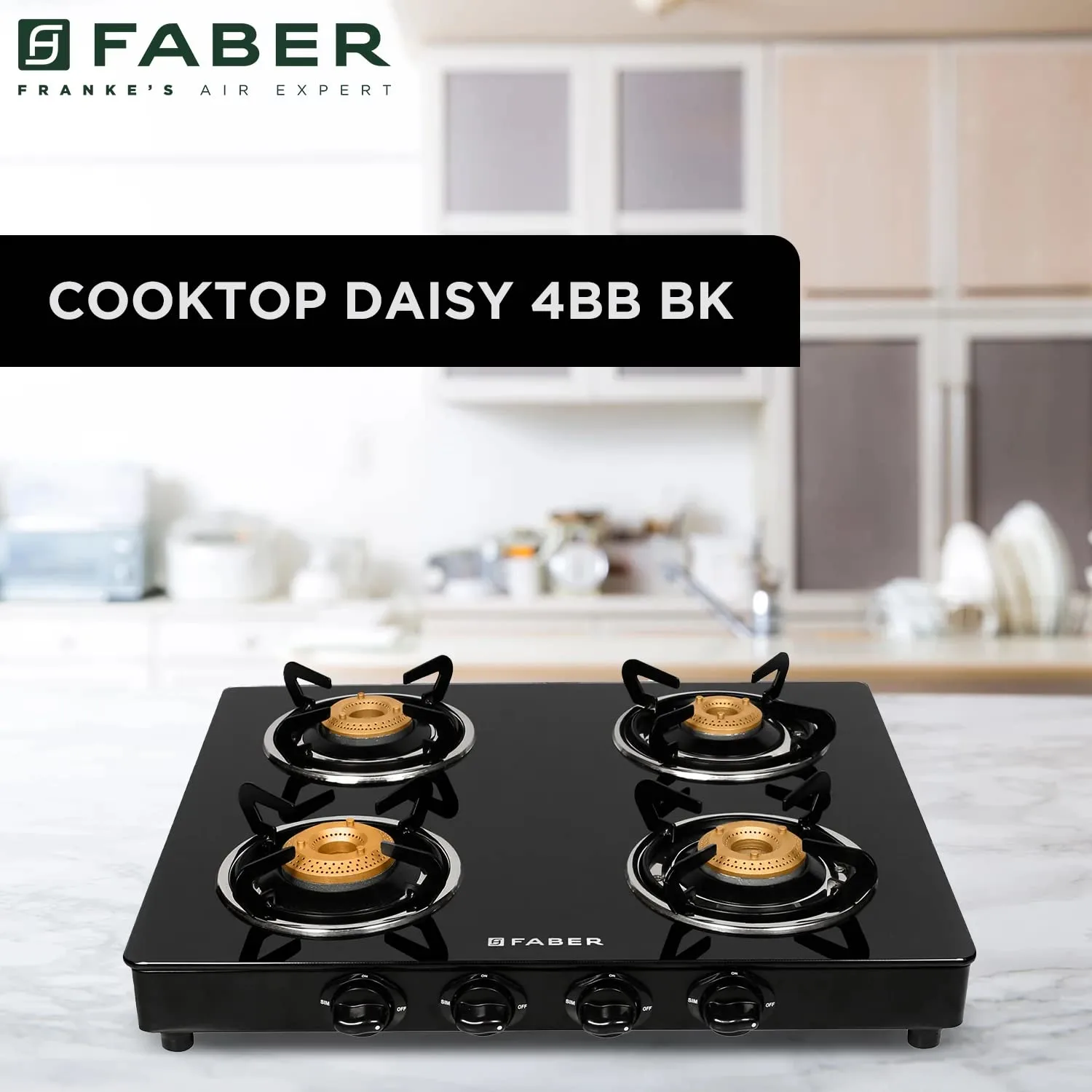 faber burner gas stove 2