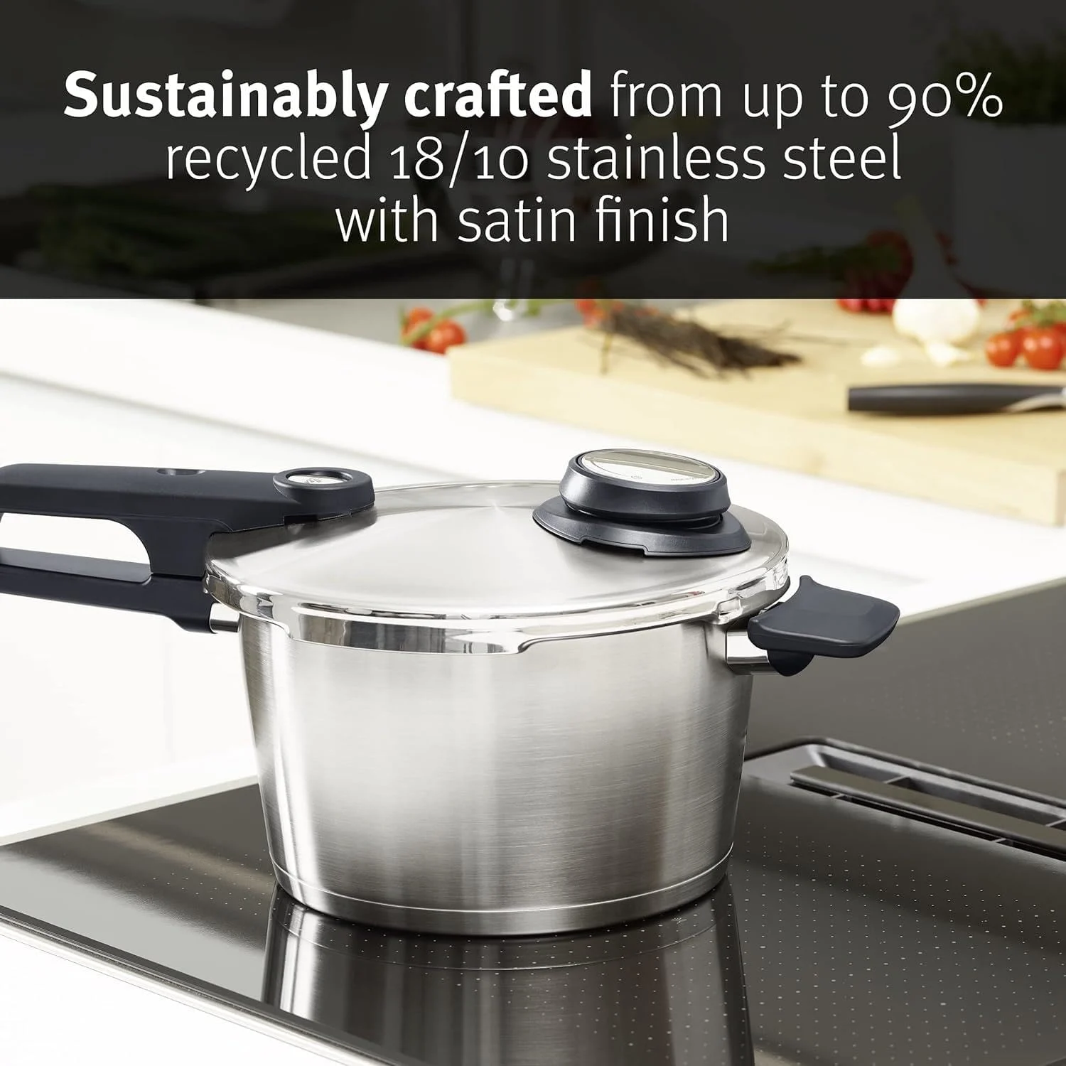 fissler vitavit premium pan 2