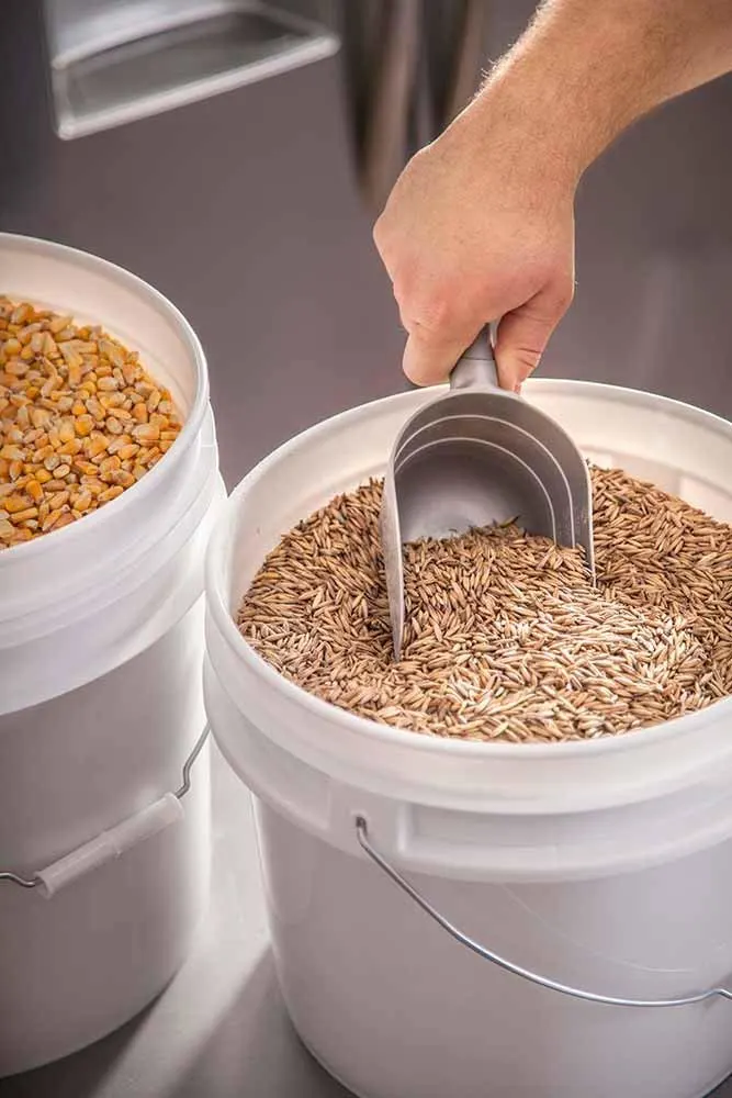 gallon food grade bucket 2