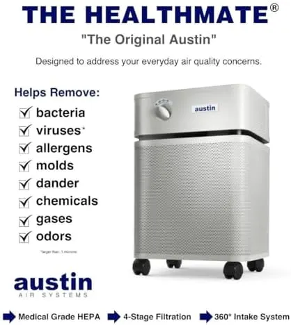 hepa air purifier allergy dust odor 2
