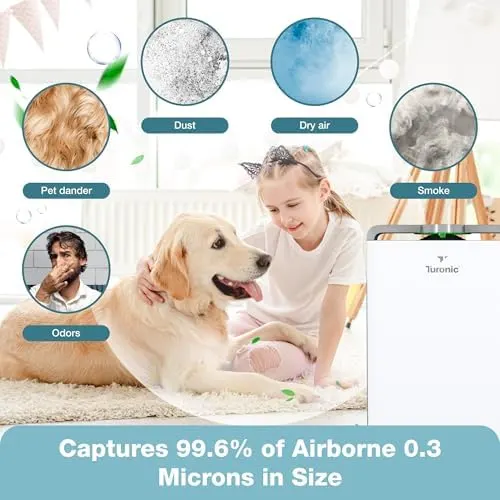 hepa air purifier humidifier 2