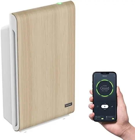 hepa air purifier one button 1
