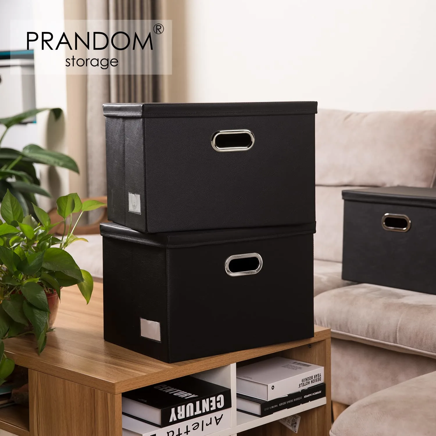 large storage boxes lids 2