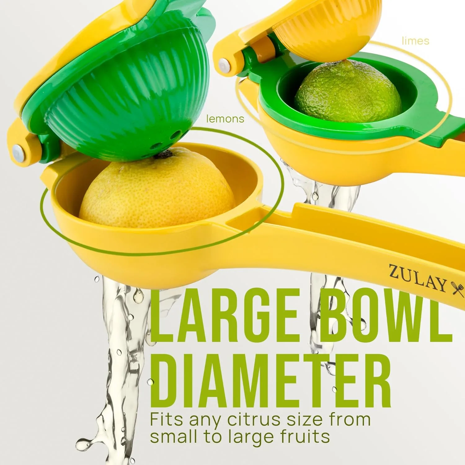 lemon lime squeezer juice 2