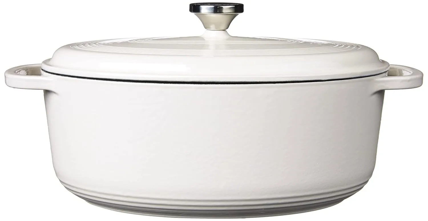 lodge enameled dutch oven 2