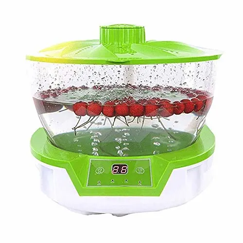 ozone fruit vegetable washer 1