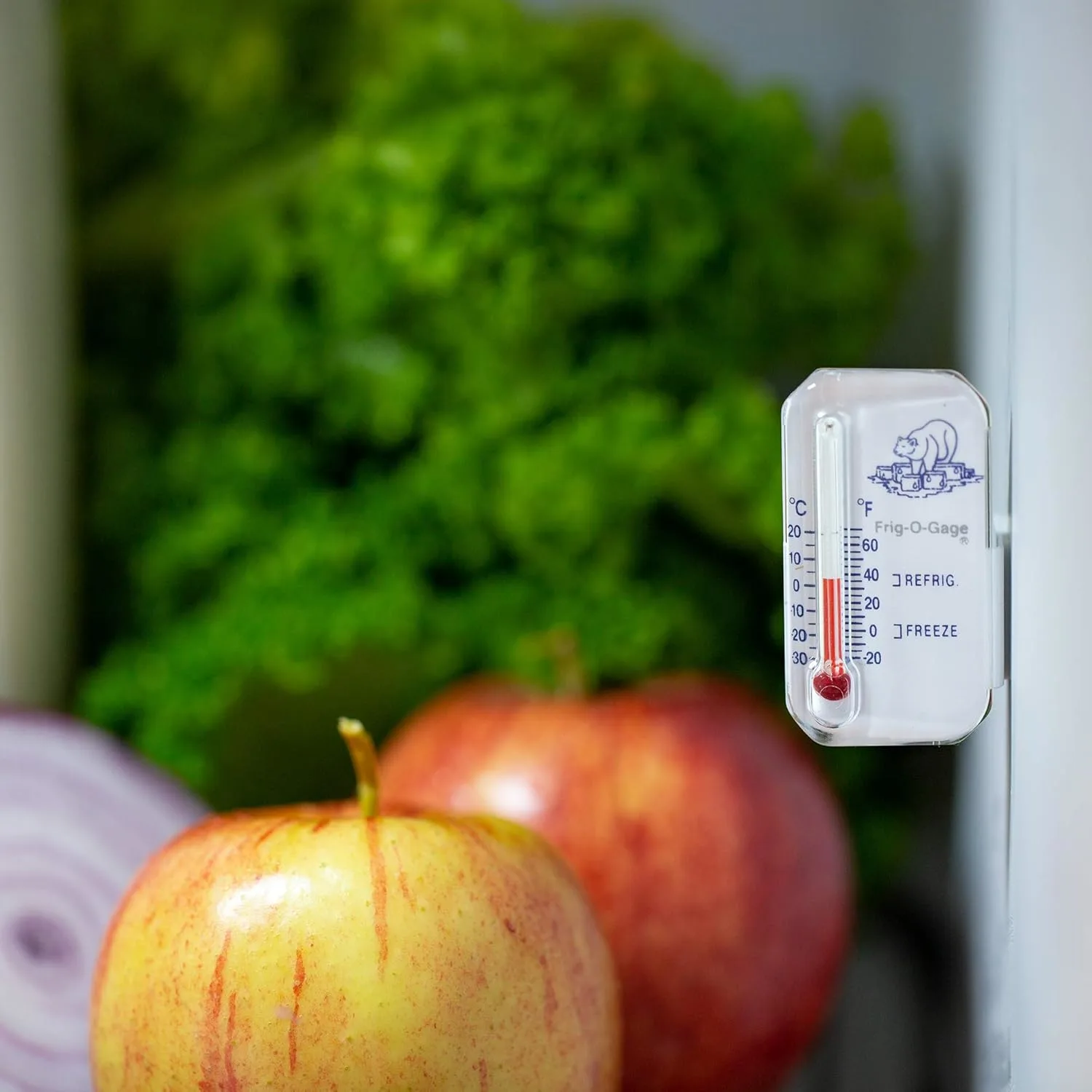 rv fridge thermometer 2