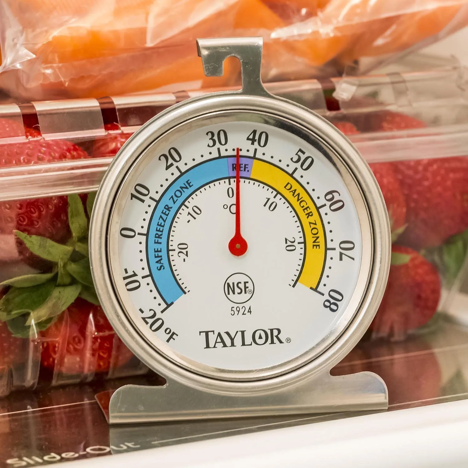 taylor large dial thermometer 2