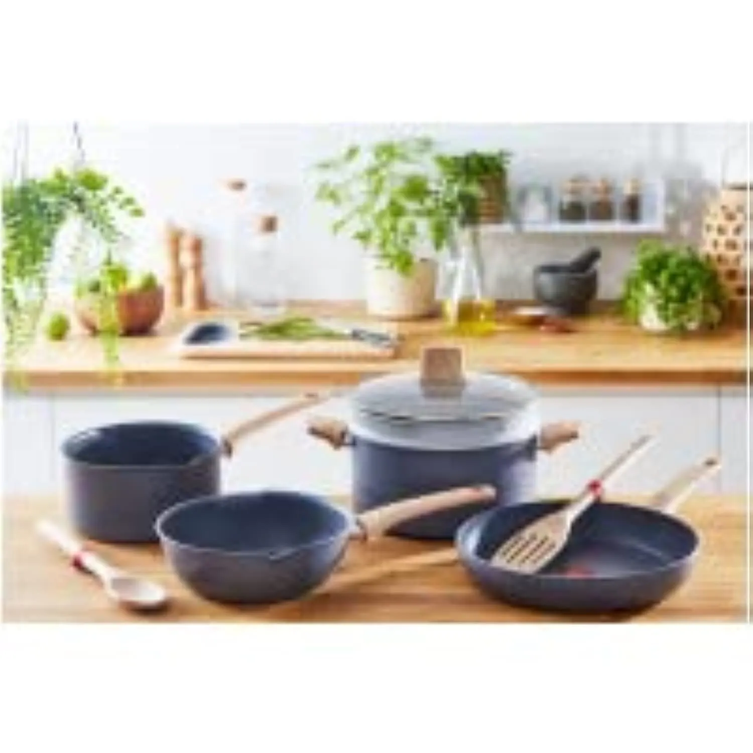 tefal natural force pan 2