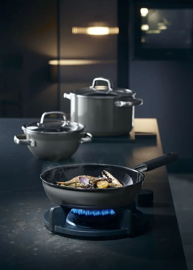 wmf fusiontec frying pan 2