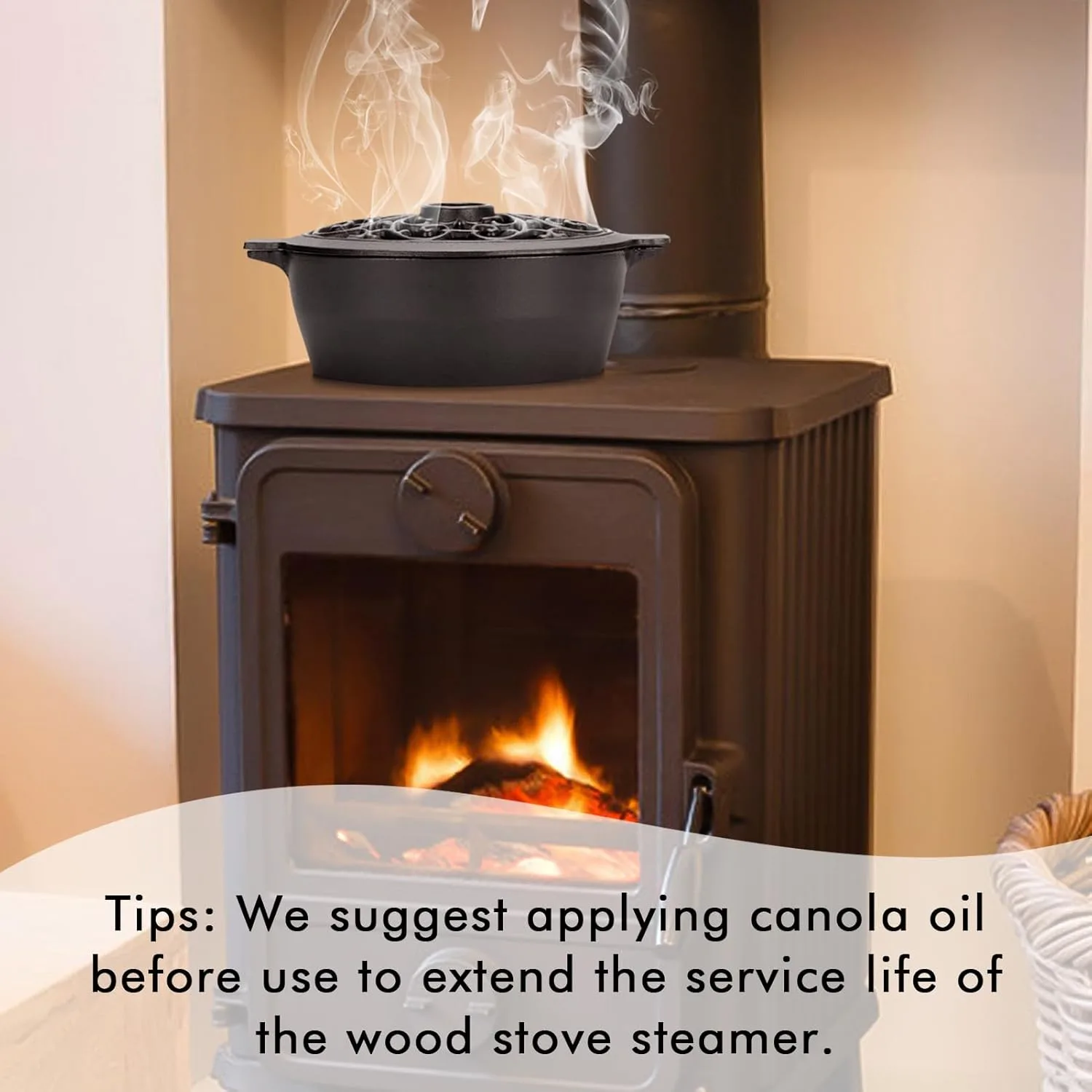 wood stove steamer 2