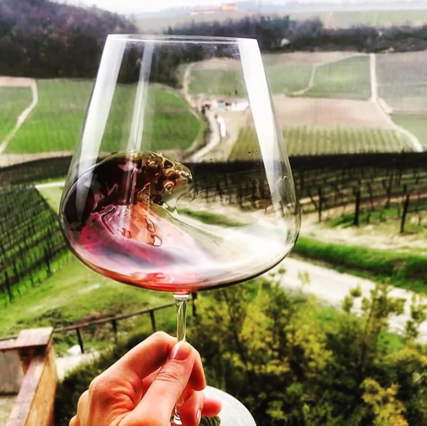 zalto bordeaux wine glass 2