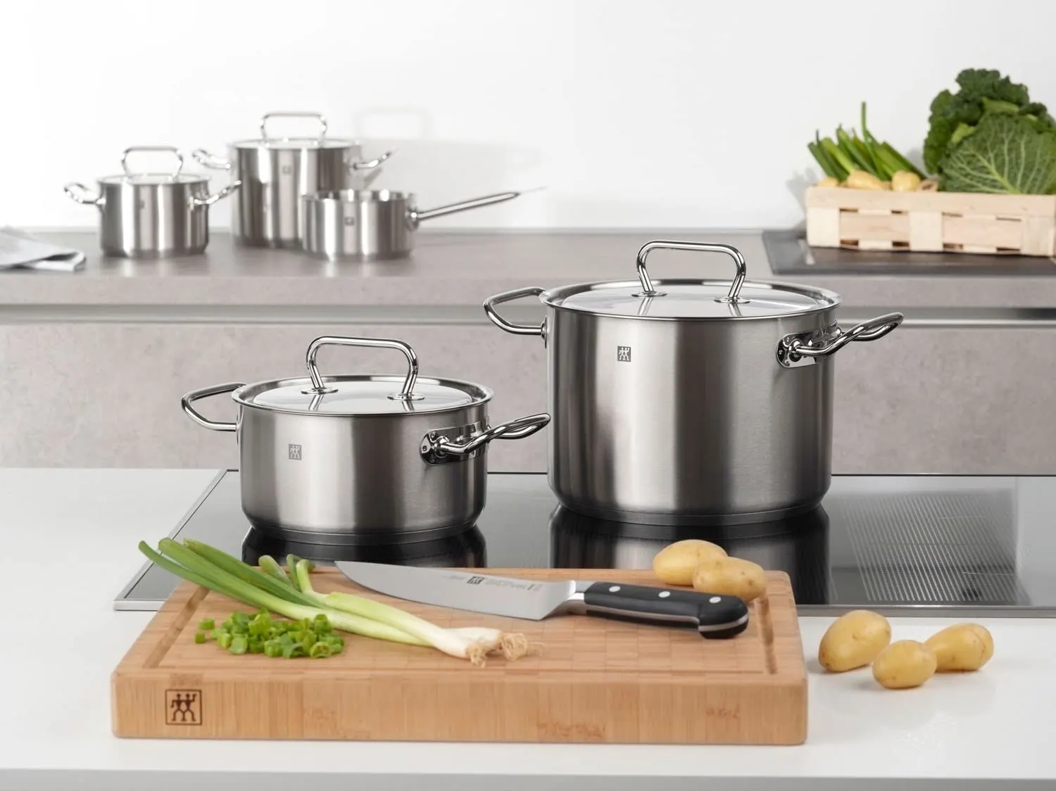zwilling twin classic stew 2