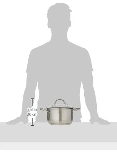 bergner gourmet casserole lid 2