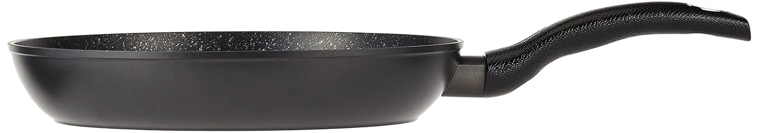 bergner orion frypan 2