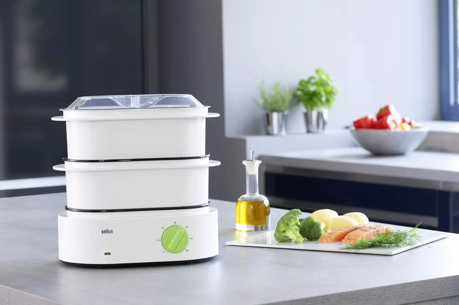braun fs 3000 steamer 2