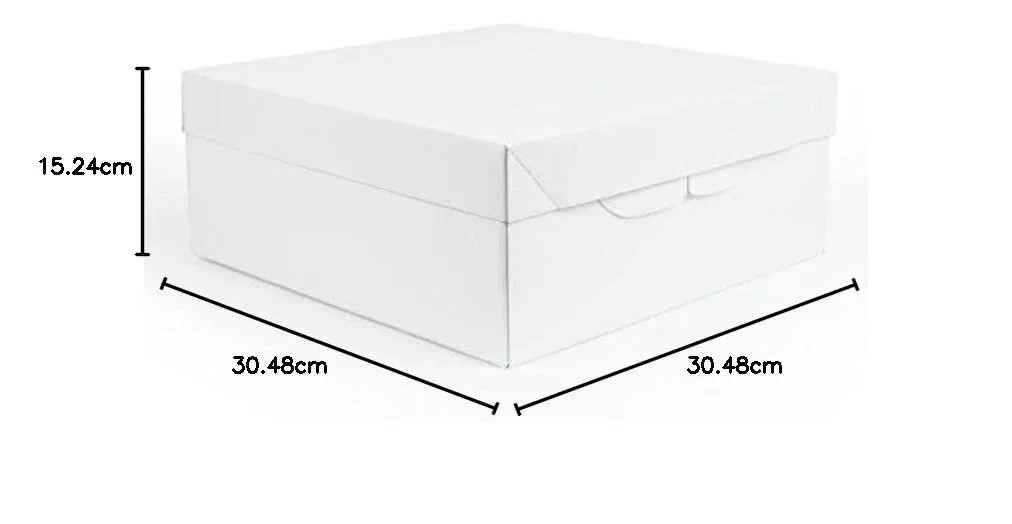cake box transport 2