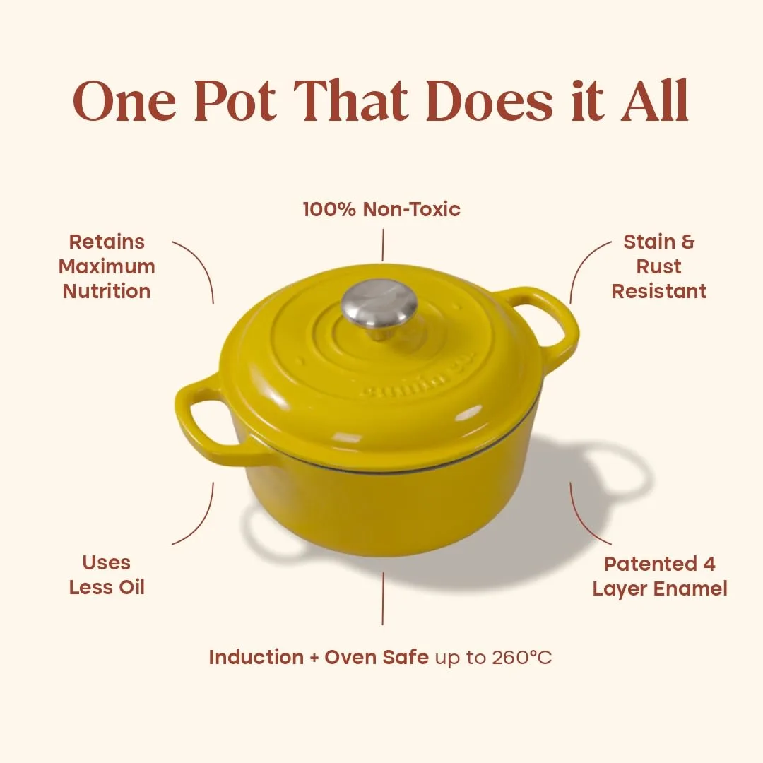 cast iron biryani pot 2