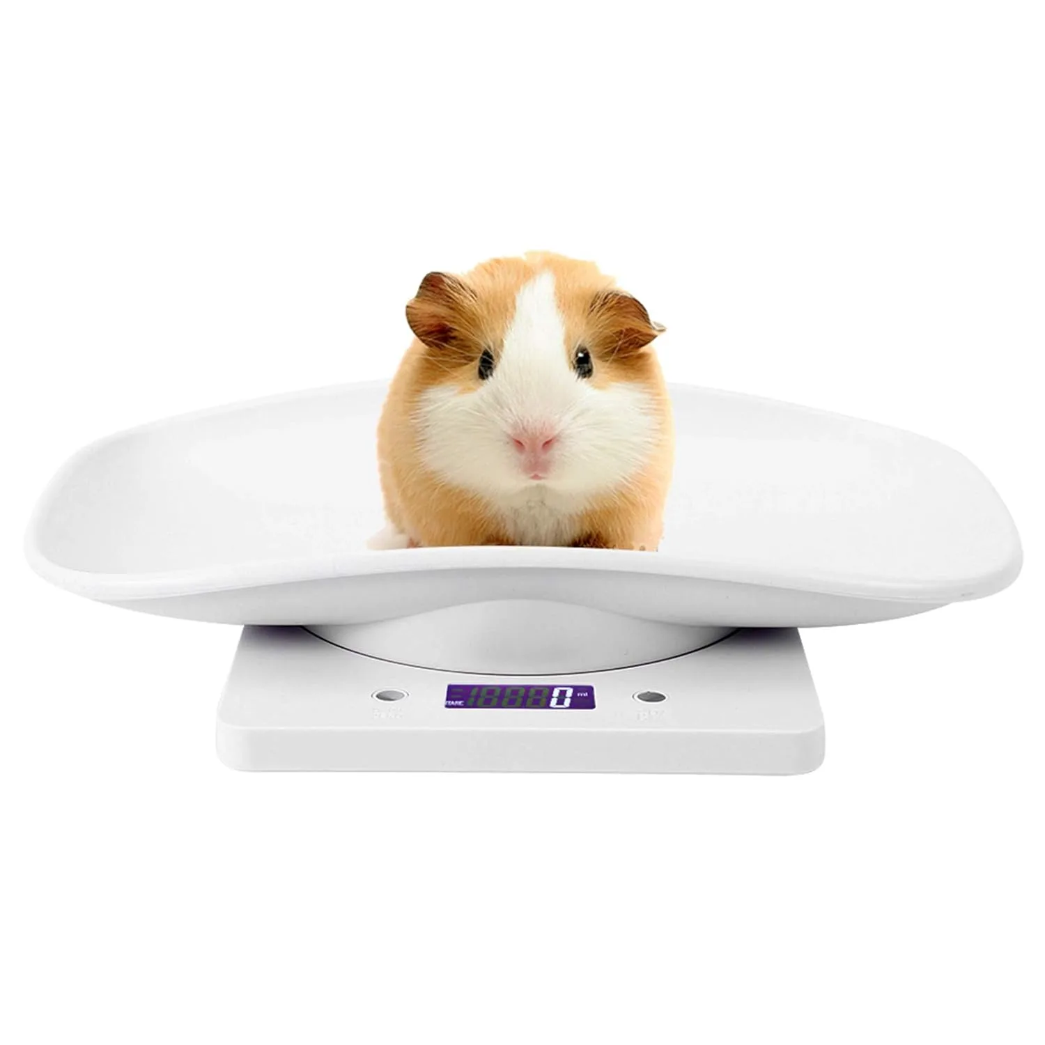 digital pet scale 2