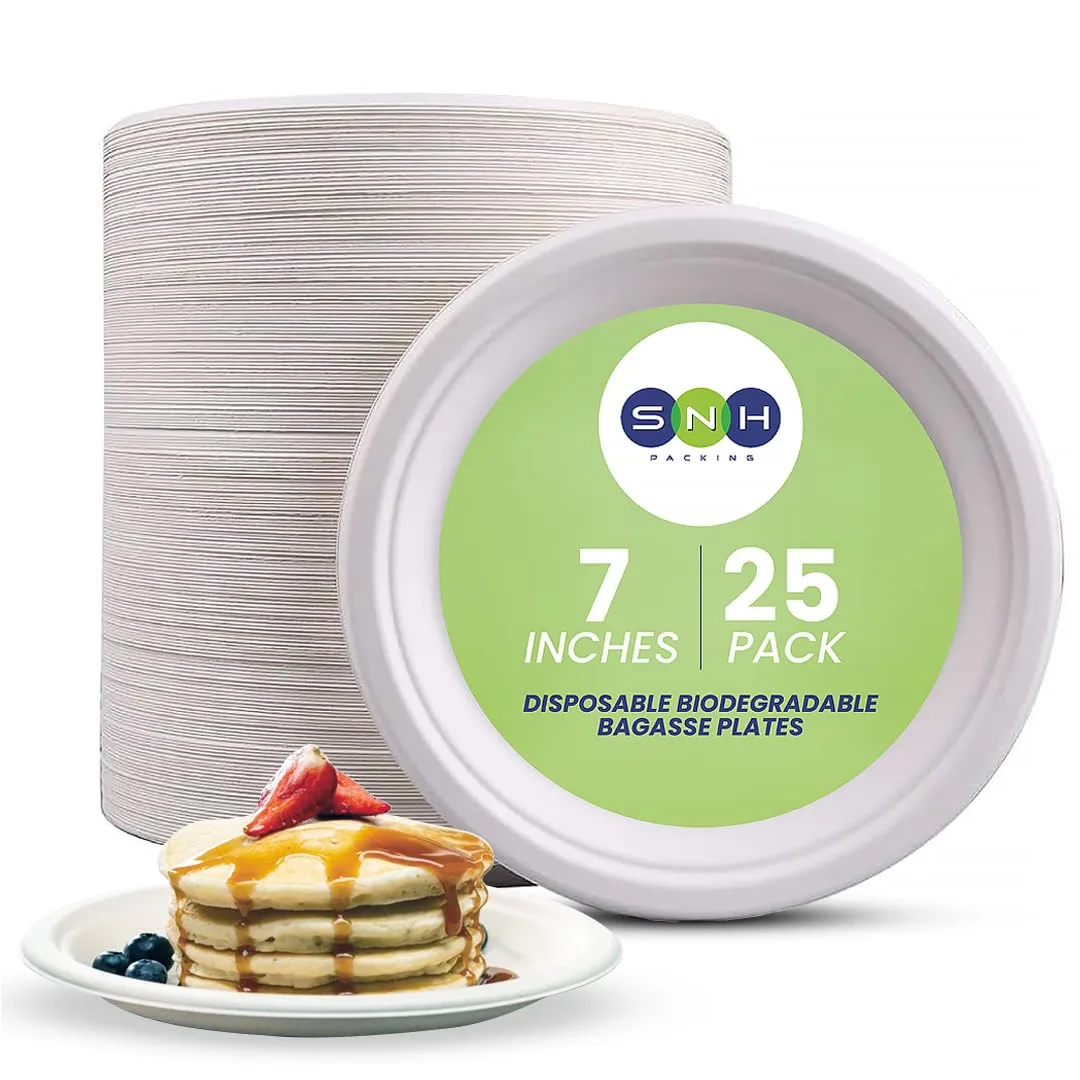 eco friendly disposable plates 1