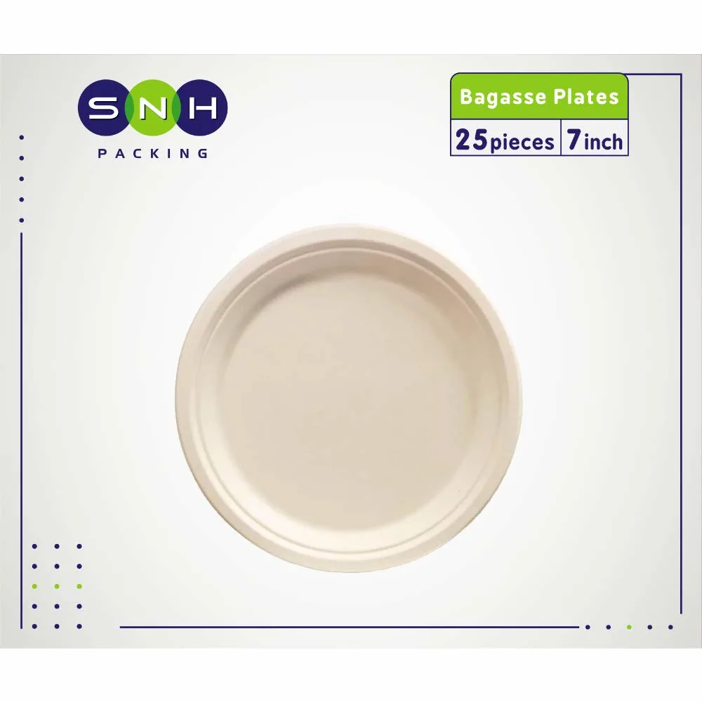 eco friendly disposable plates 2