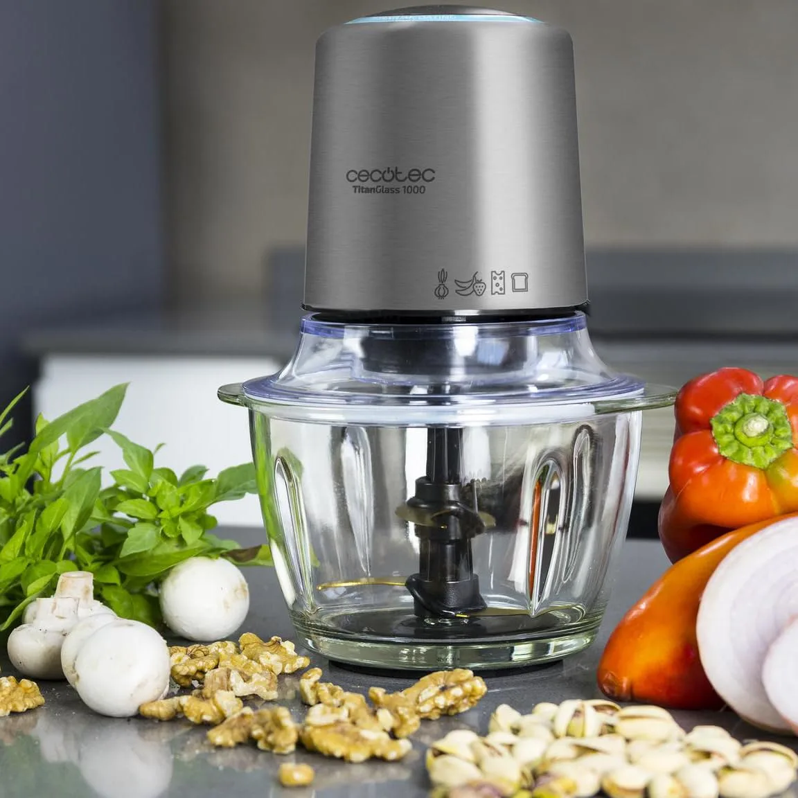 electric food chopper glass 2