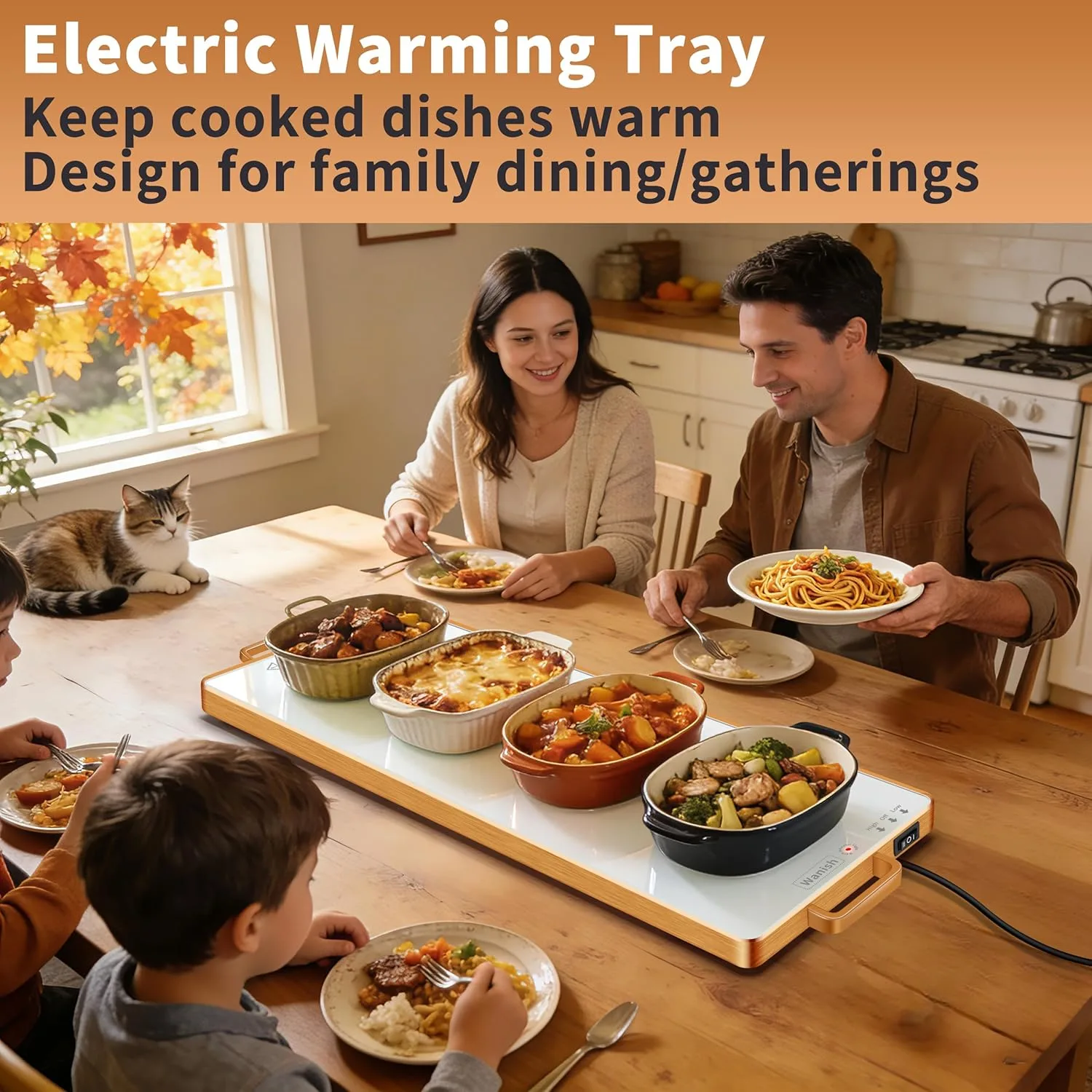 electric food warmer 2