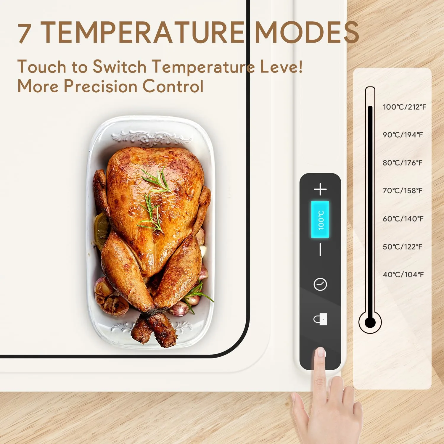 electric warming tray food 2