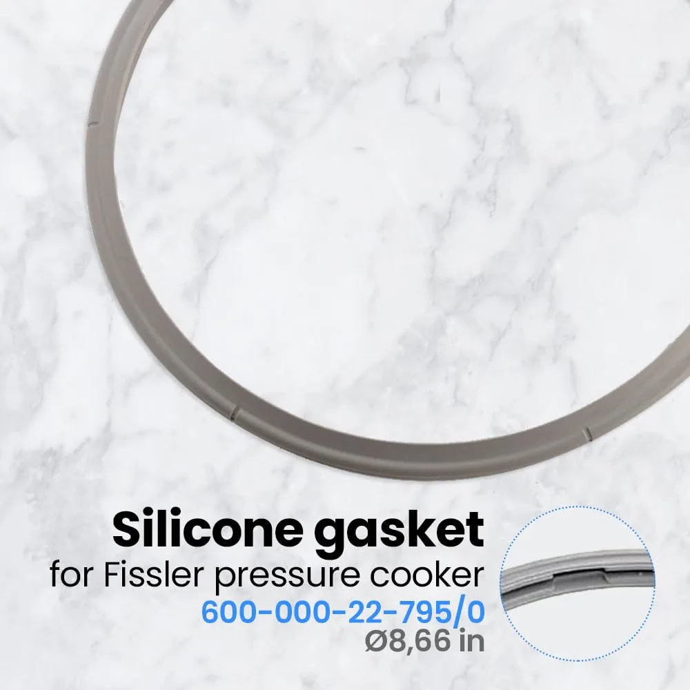 fissler gasket 22cm 2