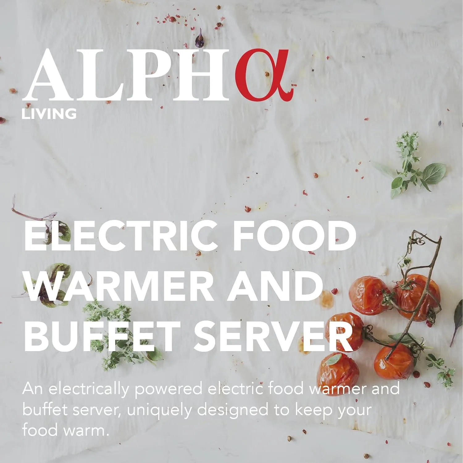 food warmers buffet 2