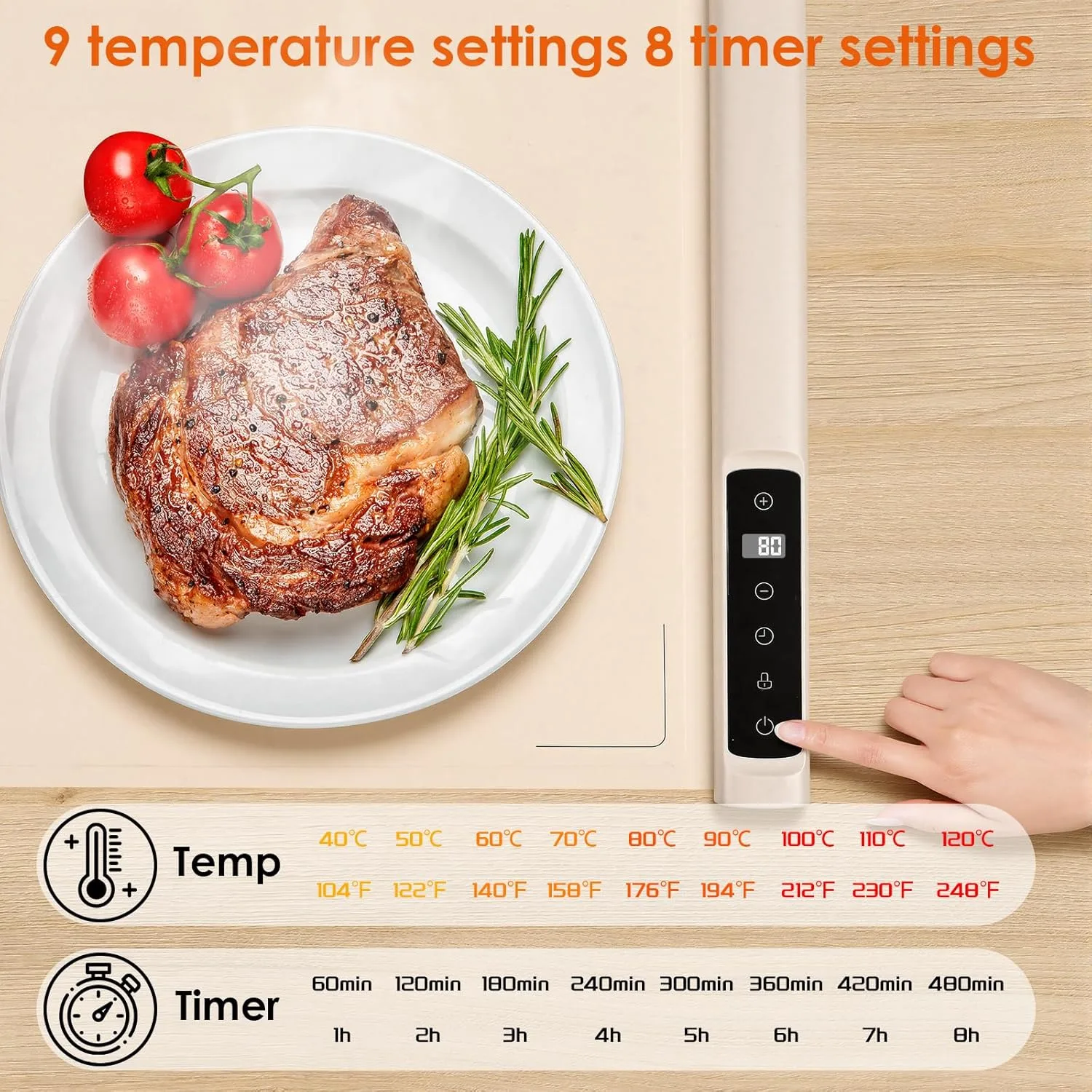 food warming plate 2