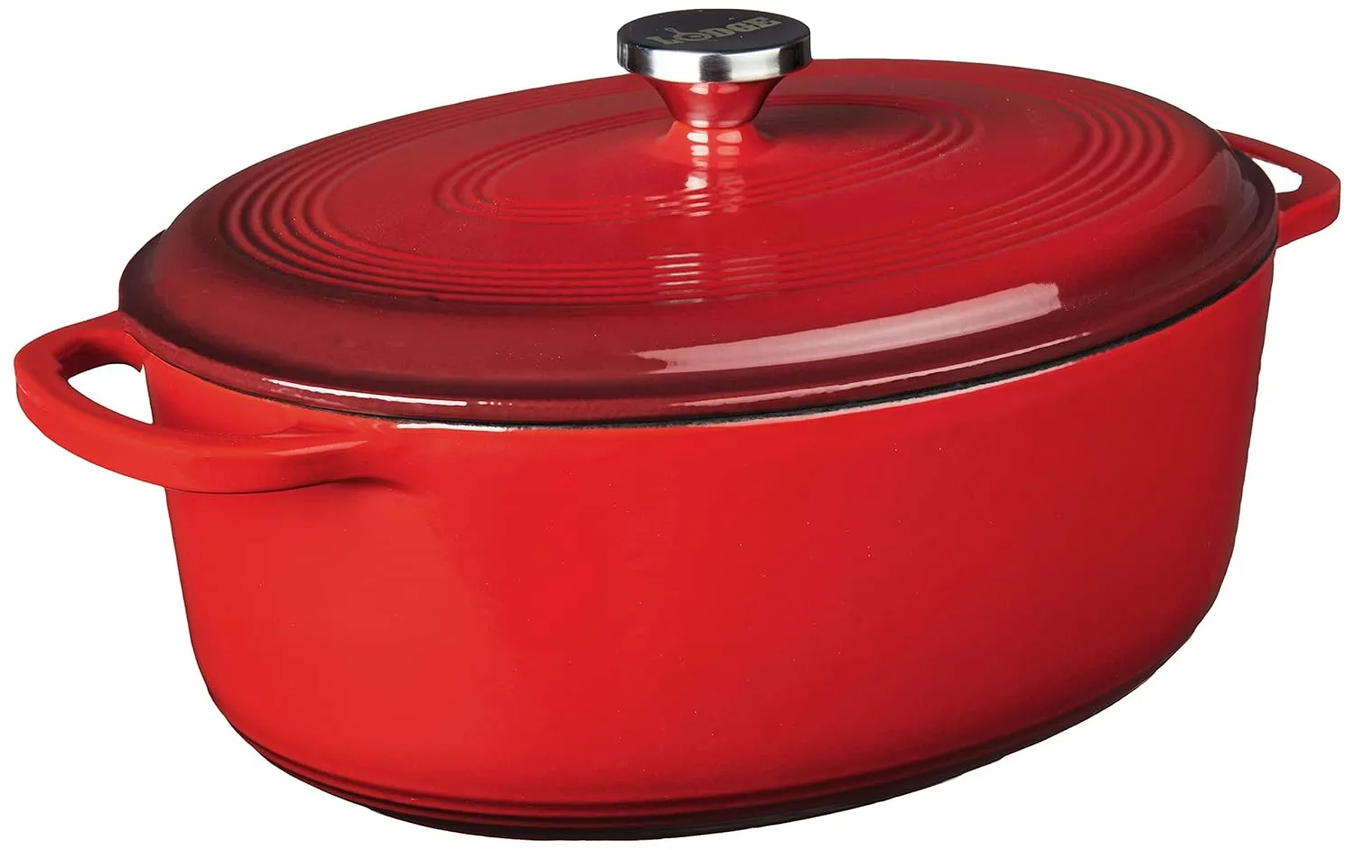 lodge enameled cast iron 1