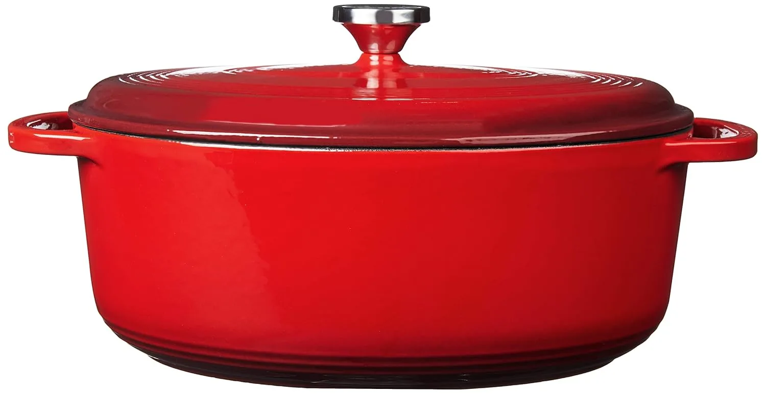 lodge enameled cast iron 2