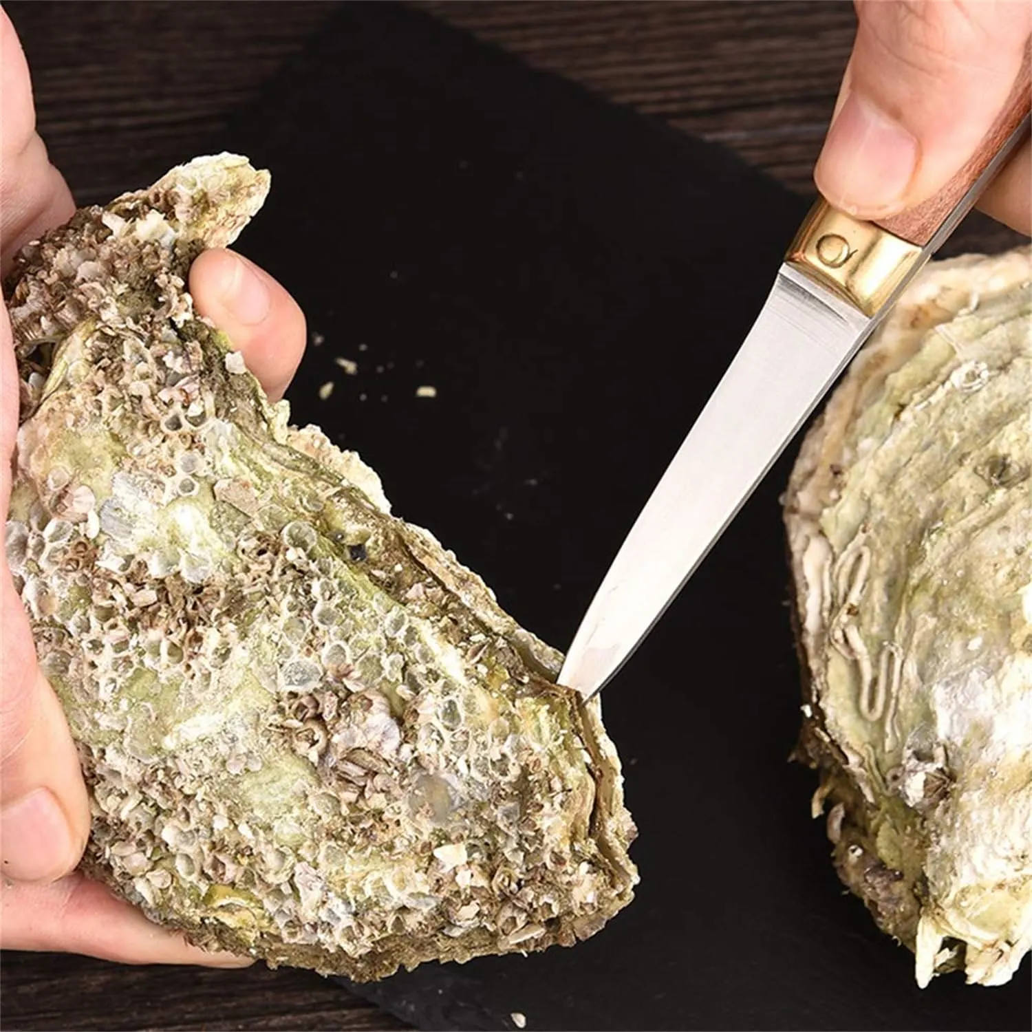 oyster shucking knife stainless 2