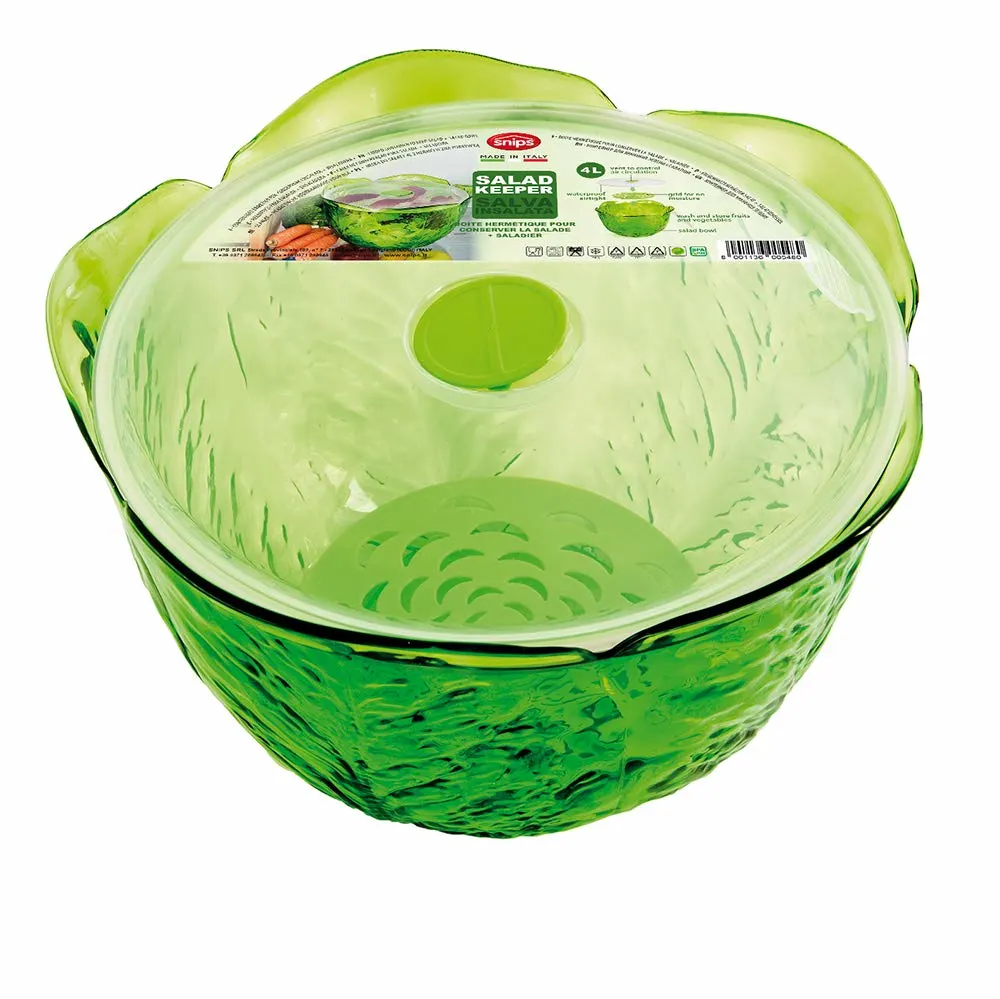 snips salad keeper 1