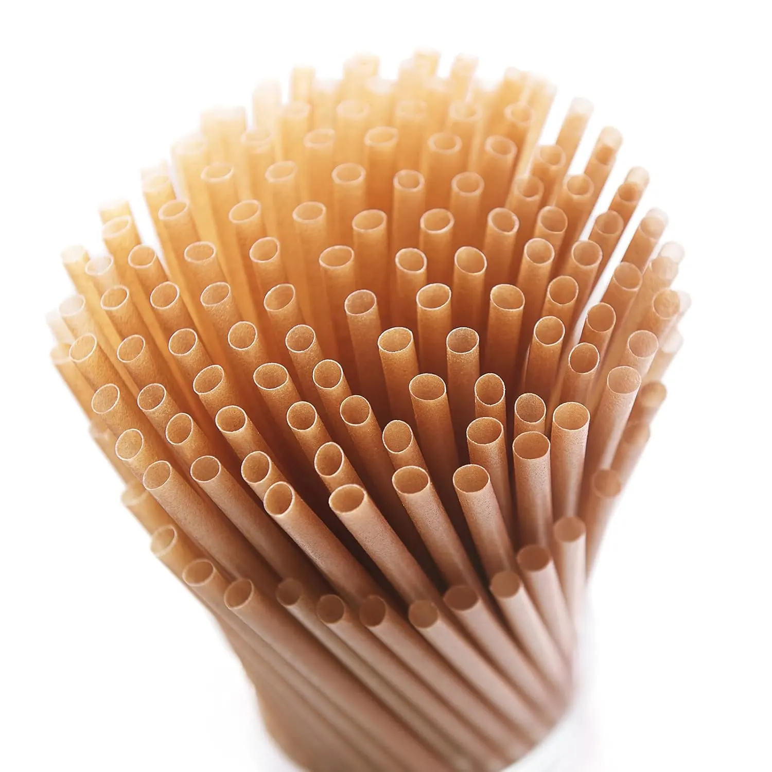 sugarcane straws biodegradable 1