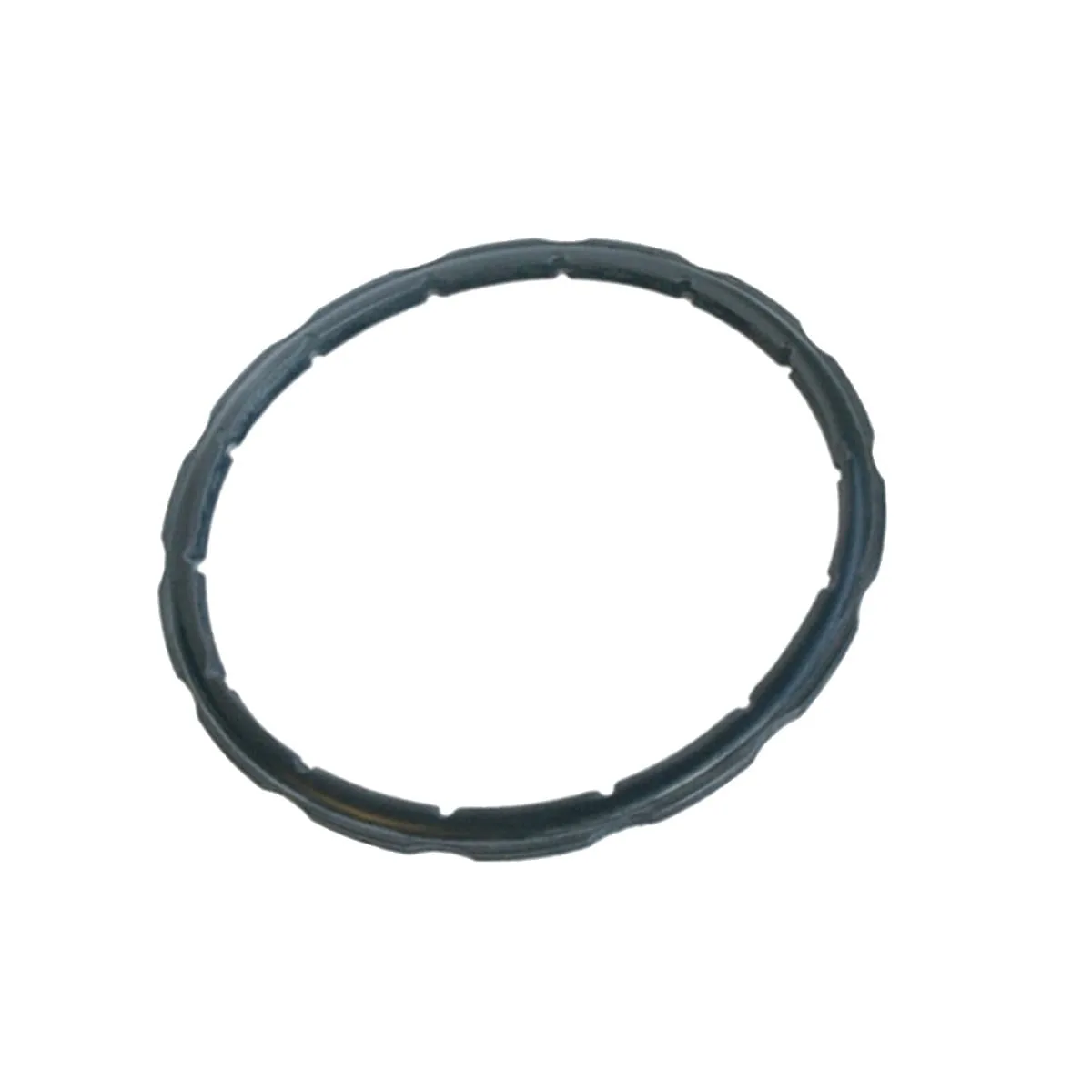 tefal pressure cooker seal 1