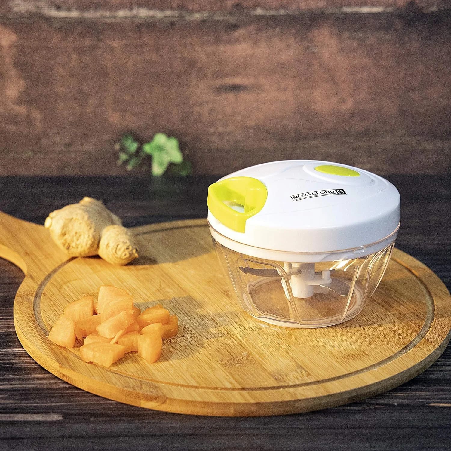 vegetable chopper blender 1